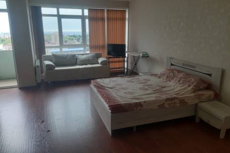Однокомнатная квартира в аренду посуточно в Сочи по адресу ул. Горького, 87/1