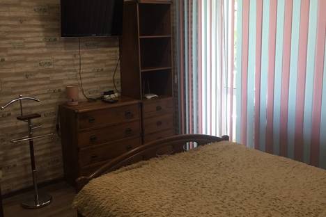 Однокомнатная квартира в аренду посуточно в Гомеле по адресу Б. Хмельницкого, 95