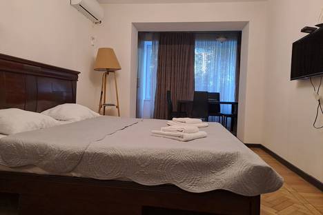 1-комнатная квартира в Тбилиси, проспект Важи Пшавелы, 35, м. Delisi