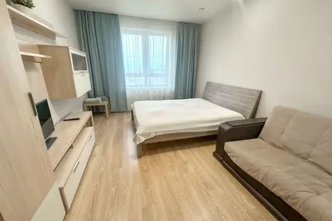 1-комнатная квартира в Екатеринбурге, Свердловская область,Московская улица, 198