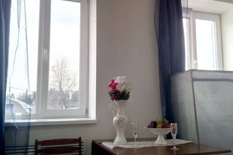 1-комнатная квартира в Электроуглях, Электроугли, Московская область, Богородский городской округ,Комсомольская улица, 48