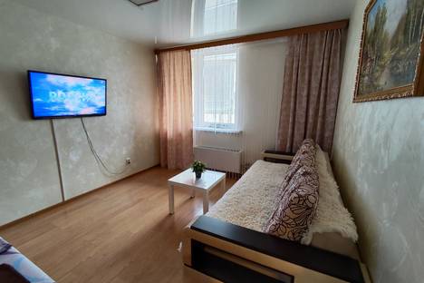 Однокомнатная квартира в аренду посуточно в Нижнем Новгороде по адресу улица Вологдина, 1Б