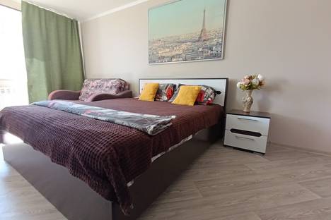 Однокомнатная квартира в аренду посуточно в Омске по адресу улица Всеволода Иванова, 6