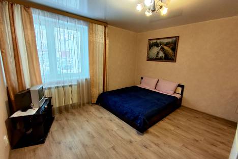 Однокомнатная квартира в аренду посуточно в Нижнем Новгороде по адресу проспект Гагарина, 29Е