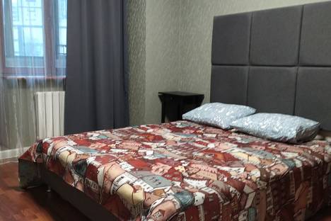 1-комнатная квартира в Санкт-Петербурге, Фермское шоссе, 32, м. Удельная