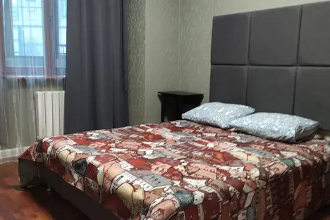 1-комнатная квартира в Санкт-Петербурге, Фермское шоссе, 32, м. Удельная