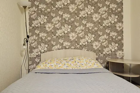 1-комнатная квартира в Пушкине, Красносельское шоссе, 63