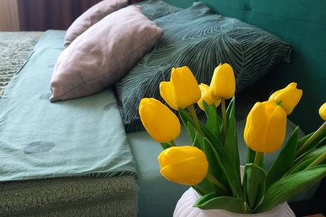 1-комнатная квартира в Рязани, микрорайон Олимпийский городок, 2