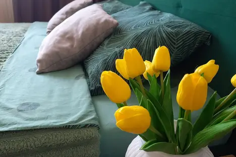 1-комнатная квартира в Рязани, микрорайон Олимпийский городок, 2