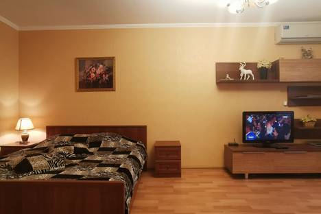 Однокомнатная квартира в аренду посуточно в Новосибирске по адресу Перевозчикова 10, метро Заельцовская