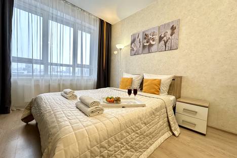 1-комнатная квартира в Уфе, Уфа, улица Рудольфа Нуреева, 10