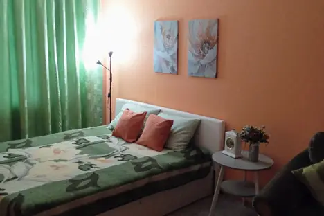 1-комнатная квартира в Электрогорске, улица Горького, 10