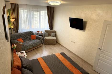 1-комнатная квартира в Волгограде, улица 8-й Воздушной Армии, 15А