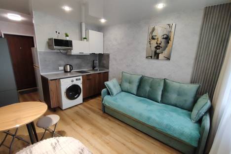 1-комнатная квартира во Владивостоке, улица Надибаидзе, 28