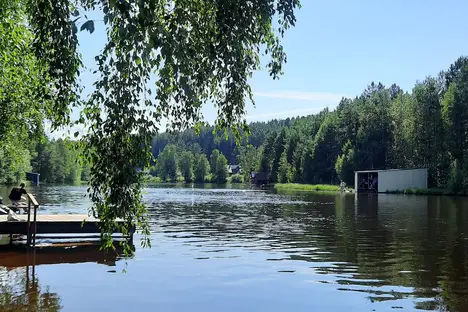 Дом в Карелии, Карелия, Пряжинский район, Эссойльское сельское поселение, посёлок Сяпся