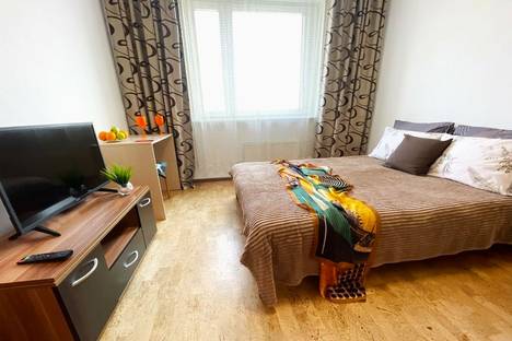 1-комнатная квартира в Москве, Белореченская улица, 6, м. Люблино