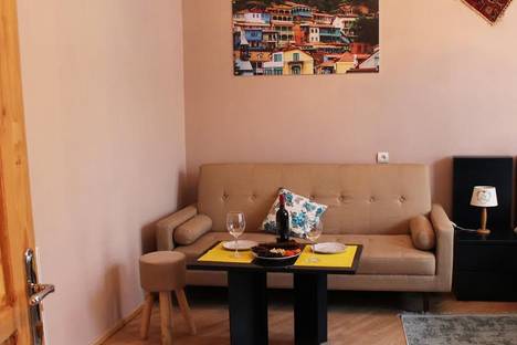 Однокомнатная квартира в аренду посуточно в Тбилиси по адресу улица Химшиашвили К., 10, метро Марджанишвили
