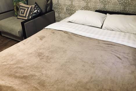 1-комнатная квартира в Воронеже, улица Помяловского, 47