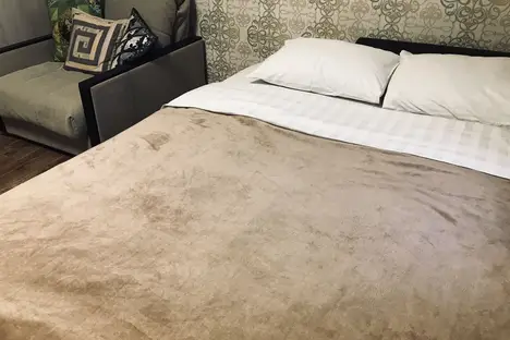 1-комнатная квартира в Воронеже, улица Помяловского, 47