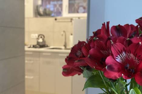 2-комнатная квартира в Анапе, Терская 12