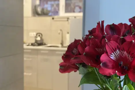 2-комнатная квартира в Анапе, Терская 12