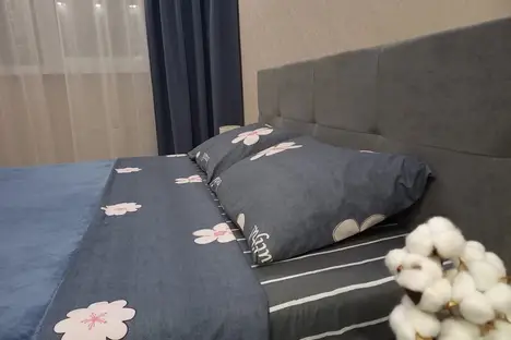 1-комнатная квартира в Рязани, микрорайон Олимпийский городок, 1