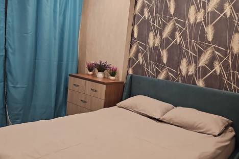 1-комнатная квартира в Парголове, ул. Архитектора Белова д.6 к 3, м. Парнас
