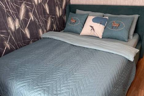 1-комнатная квартира в Парголове, ул. Архитектора Белова д.6 к 3, м. Парнас