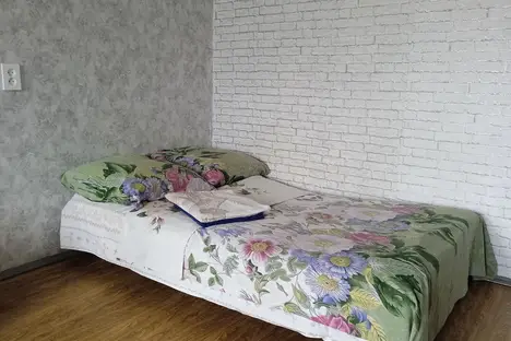 1-комнатная квартира в Нижнем Новгороде, Эльтонская улица, 38