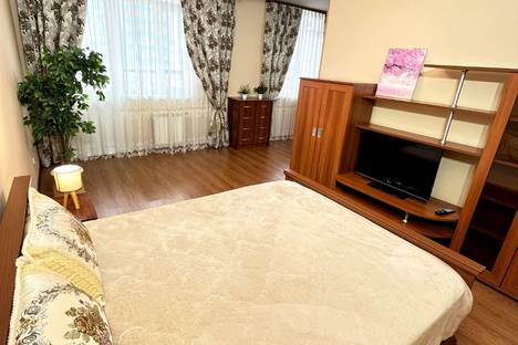 Однокомнатная квартира в аренду посуточно в Красноярске по адресу Ярыгинская набережная, 23