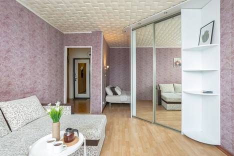 1-комнатная квартира в Екатеринбурге, улица Викулова, 28А