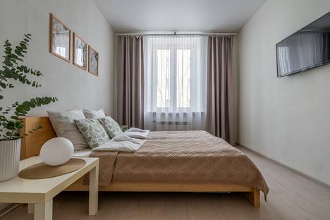 1-комнатная квартира в Екатеринбурге, улица Попова, 7, м. Площадь 1905 года