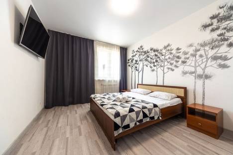 1-комнатная квартира в Красноярске, Красноярск, улица Алексеева, 48А