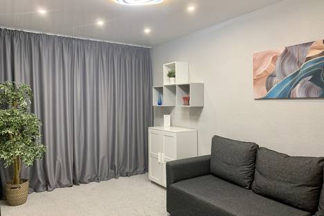 2-комнатная квартира в Нижнем Новгороде, Нижний Новгород, улица Белинского, 102