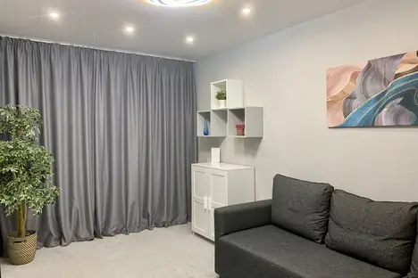 2-комнатная квартира в Нижнем Новгороде, улица Белинского, 102