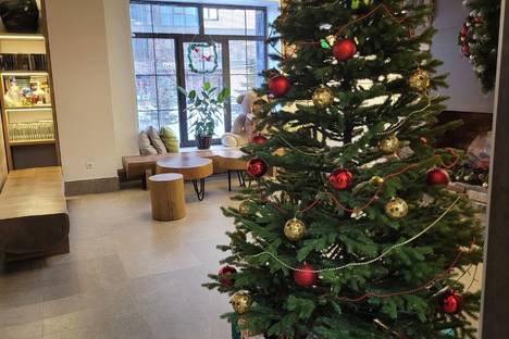 1-комнатная квартира в Красноярске, улица Партизана Железняка, 48Е