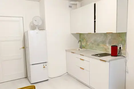 1-комнатная квартира в Санкт-Петербурге, бульвар Александра Грина, 1