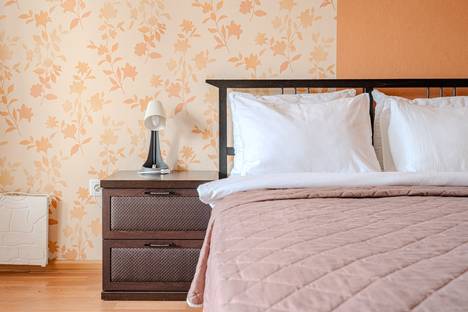 1-комнатная квартира в Екатеринбурге, Красный переулок, 5к1, м. Динамо