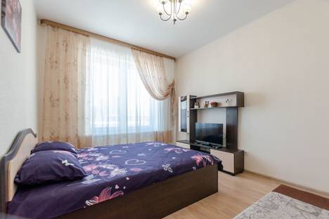 Однокомнатная квартира в аренду посуточно в Екатеринбурге по адресу улица Белинского, 163Б