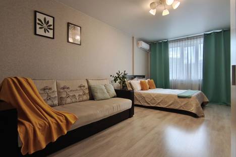 1-комнатная квартира в Самаре, Революционная улица, 101В, м. Гагаринская