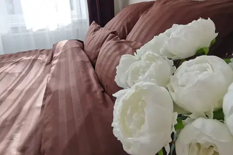 1-комнатная квартира в Зеленоградске, Окружная улица, 4