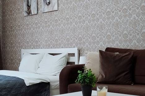 Однокомнатная квартира в аренду посуточно в Калининграде по адресу Пригородная улица, 13к1