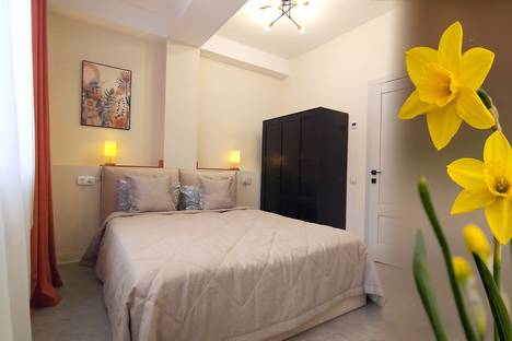 2-комнатная квартира в Красной Поляне, Красная Поляна, улица Турчинского, 85