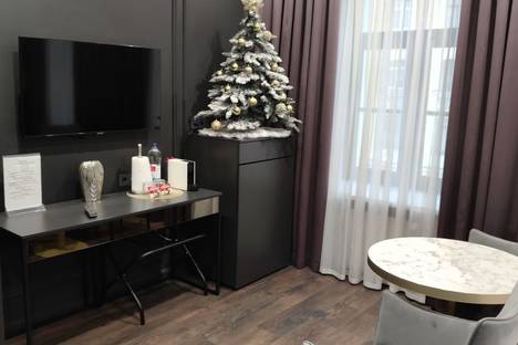 Однокомнатная квартира в аренду посуточно в Санкт-Петербурге по адресу Подъездной переулок, 13, метро Пушкинская