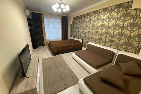 1-комнатная квартира в Краснодаре, улица Леонида Лаврова, 8к1