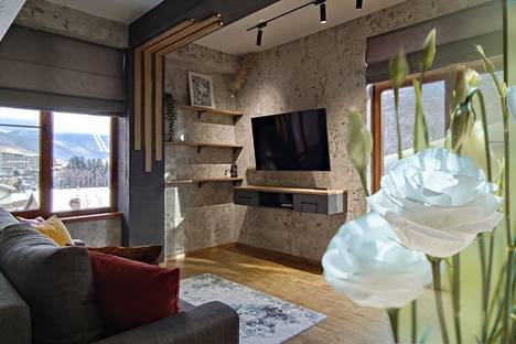 Двухкомнатная квартира в аренду посуточно в Красной Поляне по адресу улица Турчинского, 73