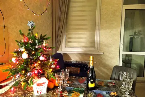 1-комнатная квартира в Санкт-Петербурге, Республиканская ул., 35, м. Новочеркасская