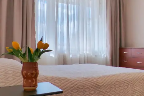 1-комнатная квартира в Санкт-Петербурге, пр-кт Энгельса, 126к2, м. Озерки