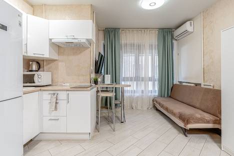 1-комнатная квартира в Казани, Казань, улица Галактионова, 3Б, м. Площадь Тукая