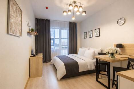 1-комнатная квартира в Санкт-Петербурге, Пулковское шоссе, 14с6